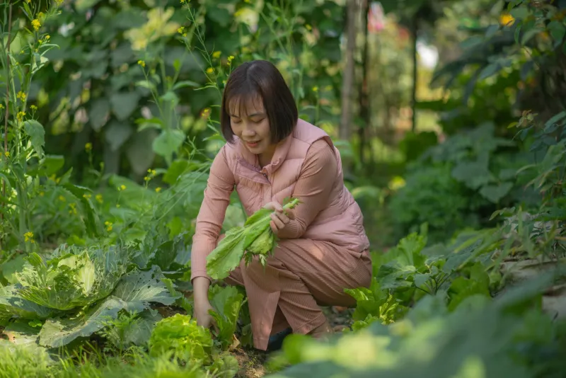 Skip the Supplement Aisle: How Indonesian Home Gardens Are Beating the Wellness Industry at Its Own Game