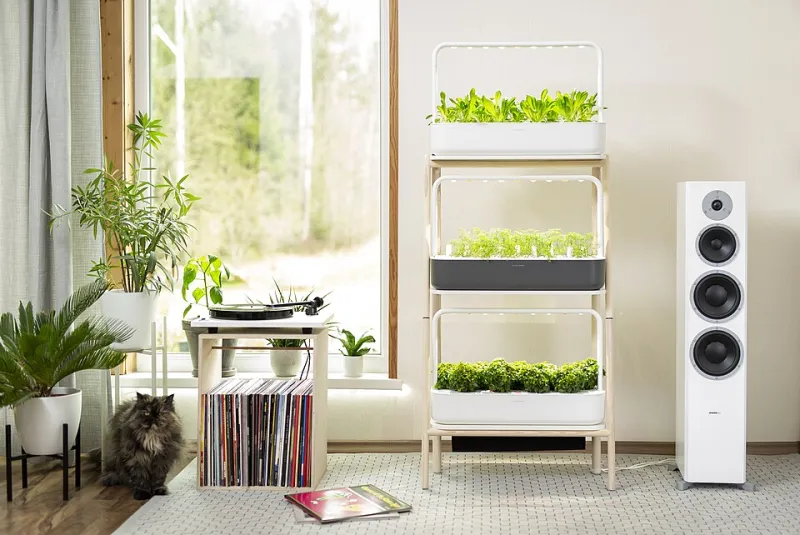 How to Keep an Indonesian Herb Garden Alive All Winter Long—No Greenhouse Required